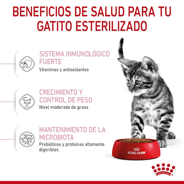 Royal Canin Kitten Spayed / Neutered 1.14 Kg - Alimento para Gatito Royal Canin Kitten Spayed / Neutered 1.14 Kg - Alimento para Gatito